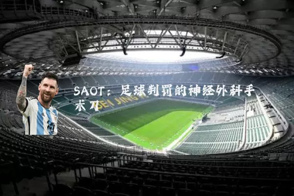 SAOT：足球判罚的神经外科手术刀
