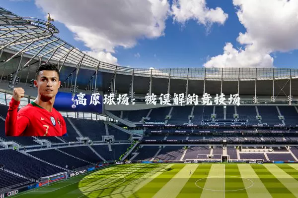 高原球场：被误解的竞技场